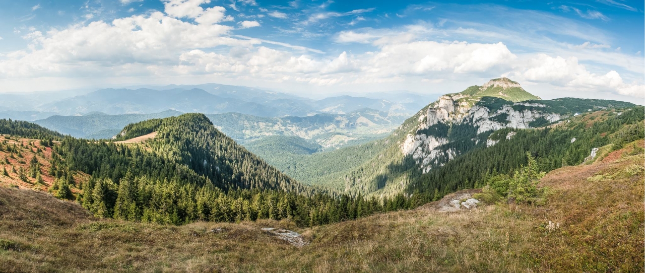Dansuri Populare Românești